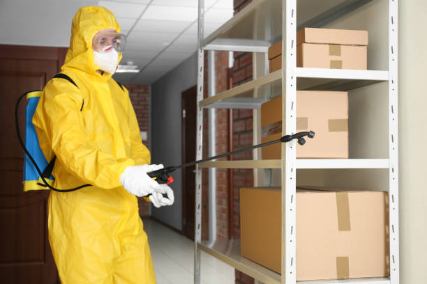 pest control worker spraying pesticide on rack indoors pest control worker spraying pesticide on rack indoors