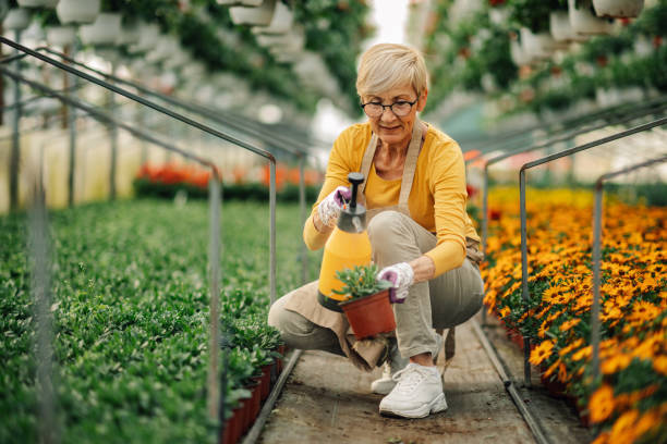 istockphoto 2200186401 612x612 istockphoto 2200186401 612x612